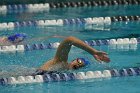 Swimming vs CGA  Wheaton College Swimming & Diving vs Coast Guard Academy. - Photo By: KEITH NORDSTROM : Wheaton, Swimming, diving